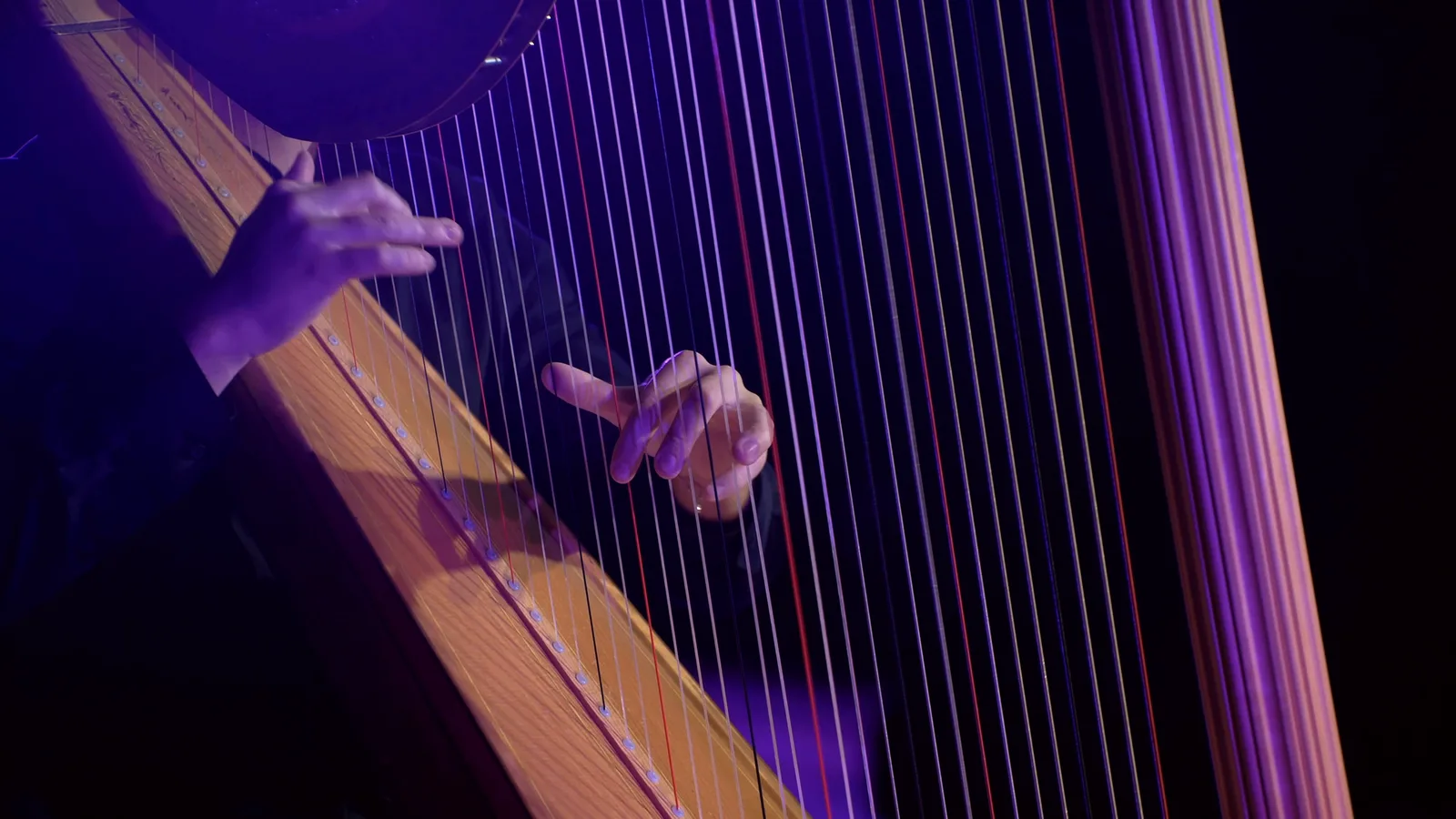 Close detail of both hands on the harp strings.